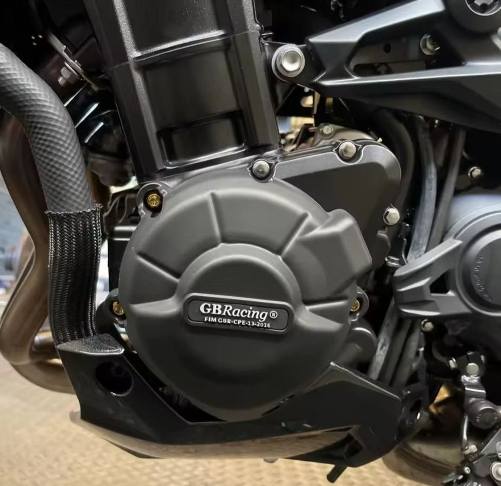 Protege Gb Rasing Z900